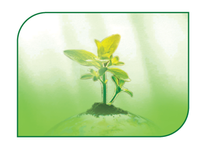 Akij Endowment Insurance Plan (with Profit)